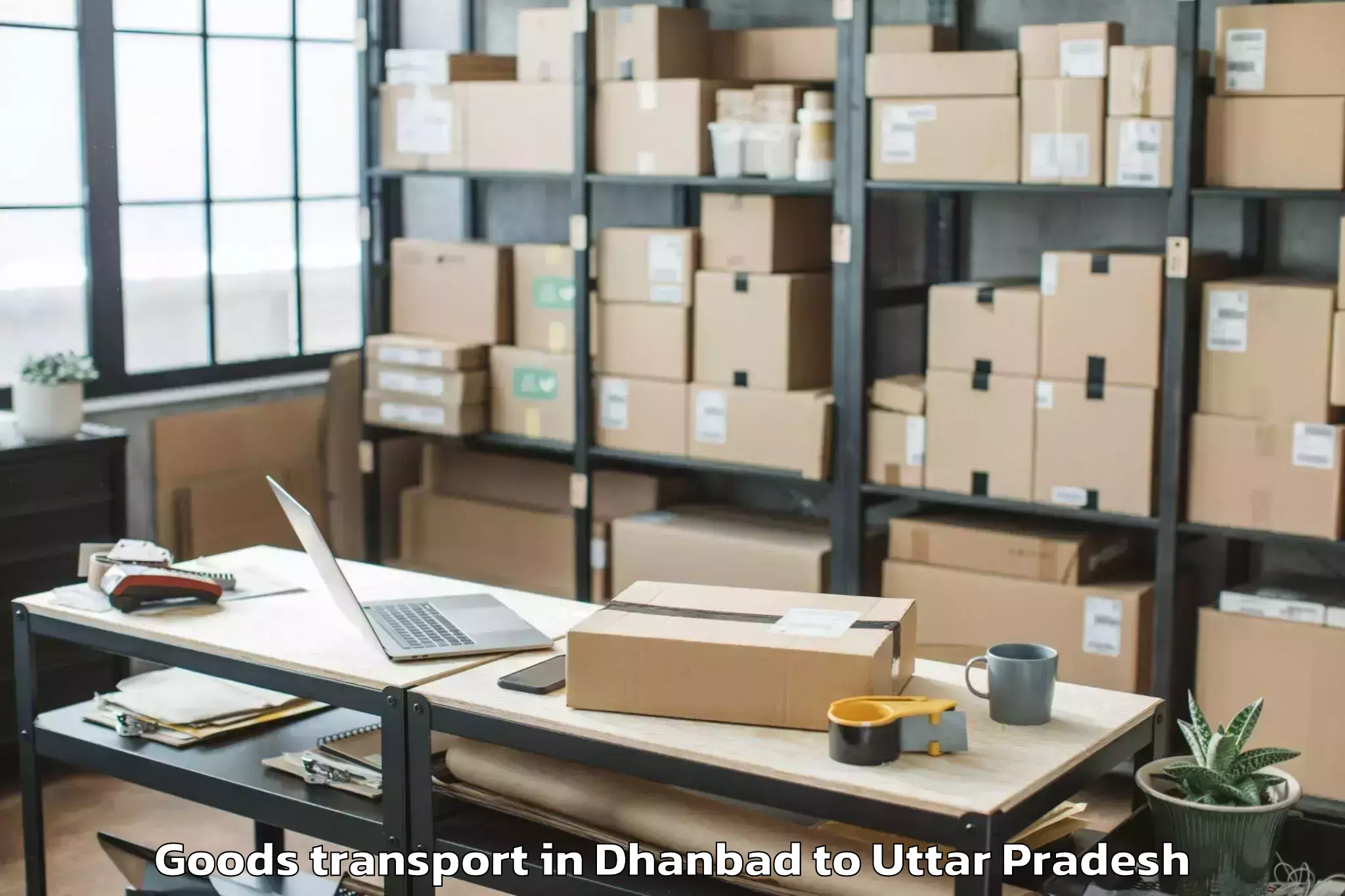 Professional Dhanbad to Nanpara Goods Transport